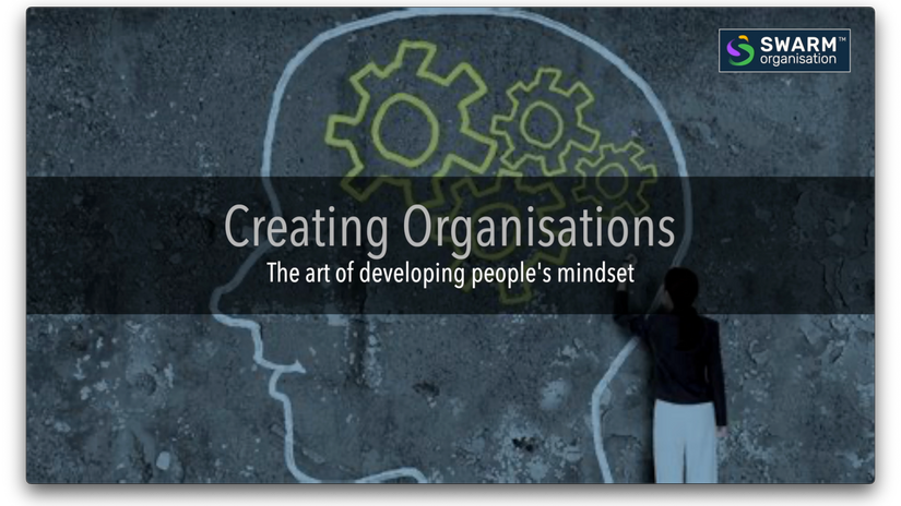 SWARM Organisation - Organisation - Evert Bleijenberg